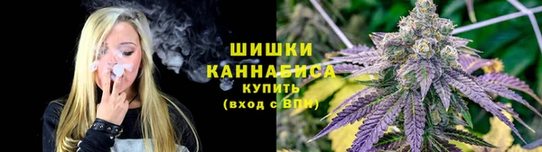стаф Покачи