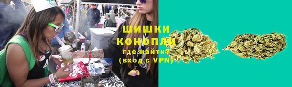 стаф Покачи
