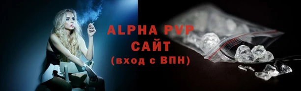 кокс Корсаков