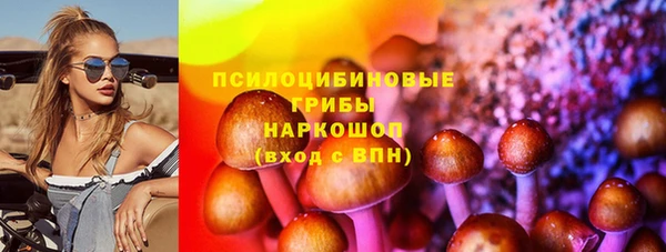 спиды Костерёво