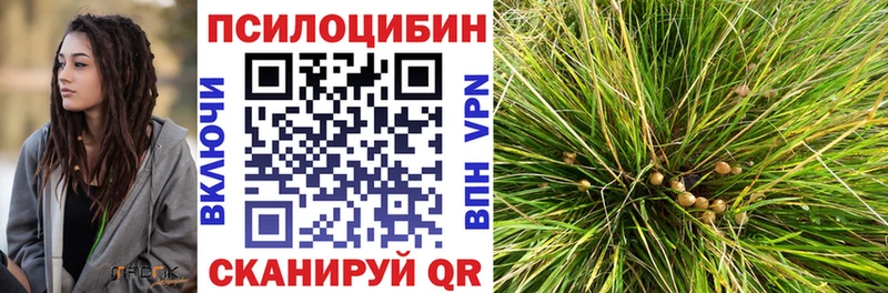 закладки  hydra вход  Псилоцибиновые грибы Cubensis  Котово 